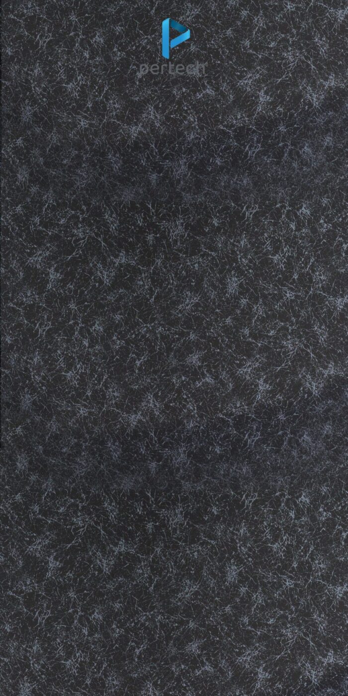 PP 2004 – ARACHINIS