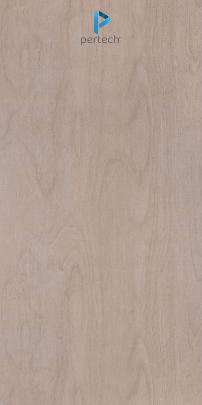 PP 7983 – SAINT TROPEZ