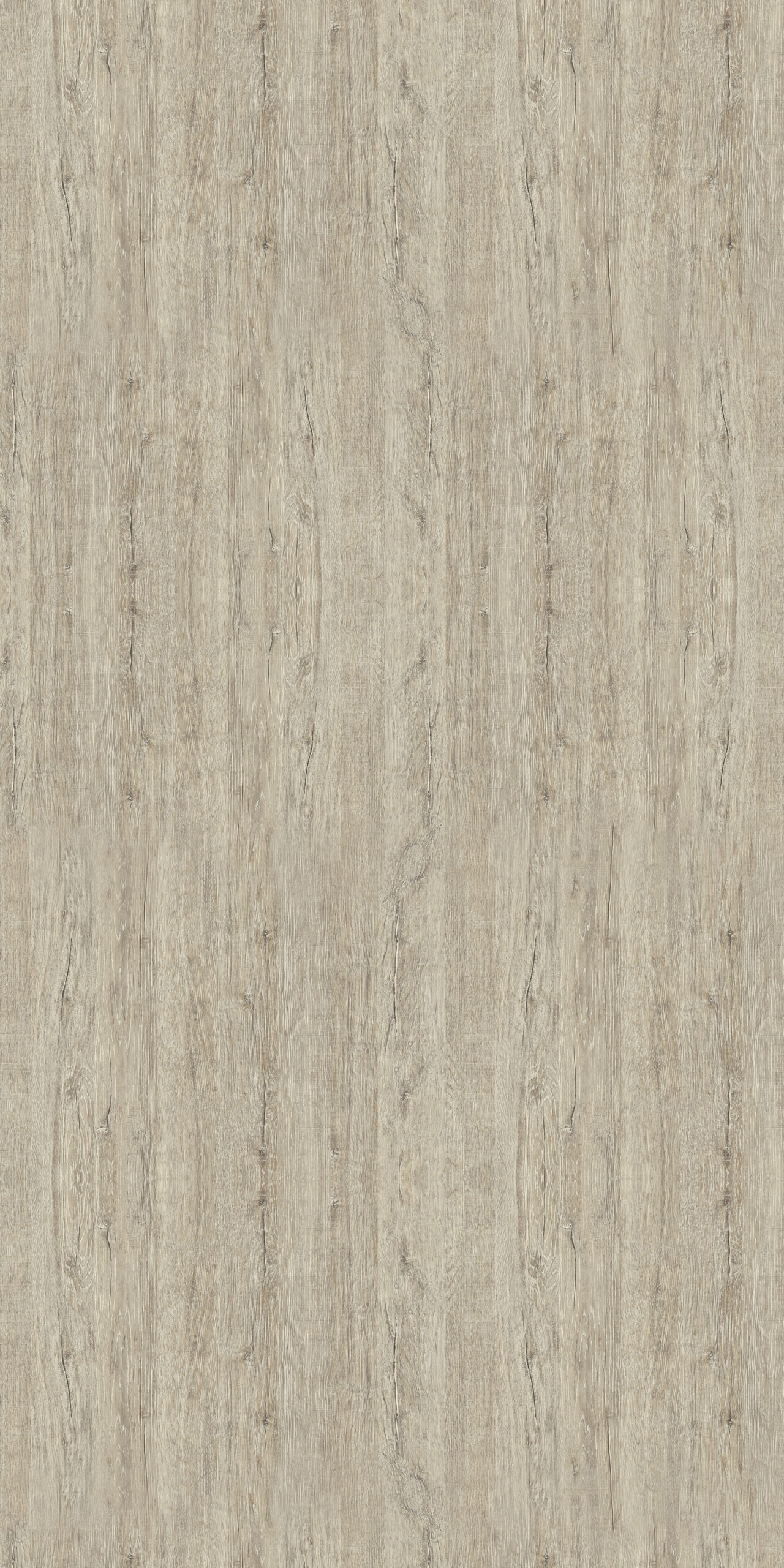 PP 7848 – ITALIAN OAK