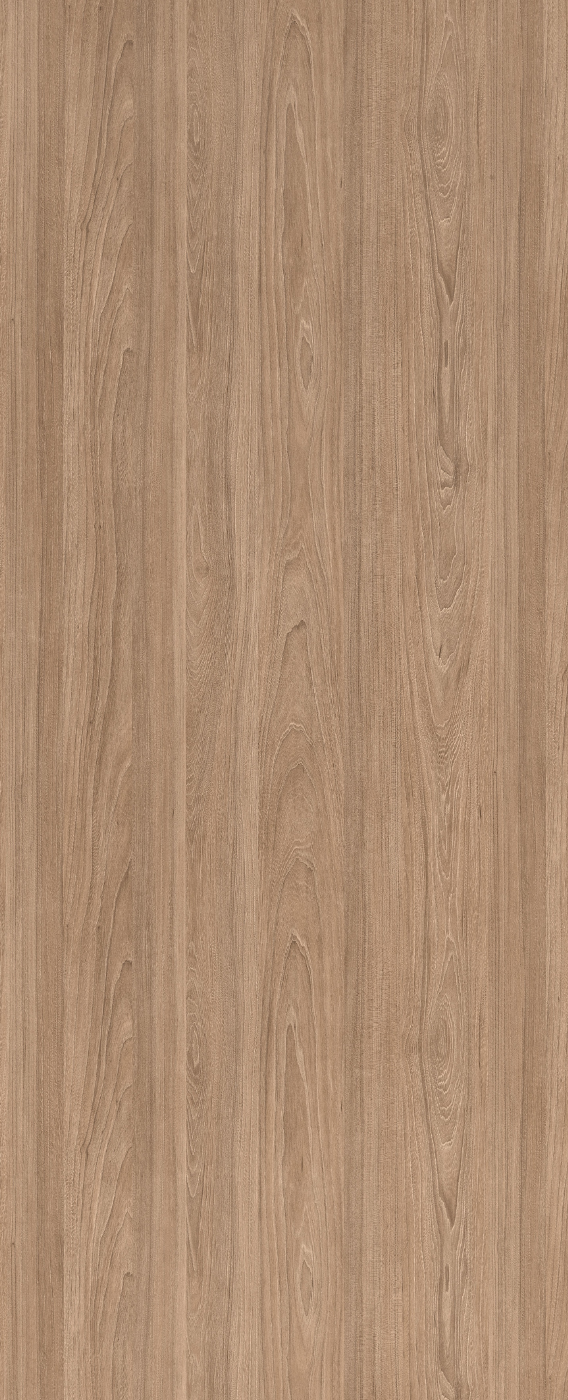 PP 1529 - NATURAL ELM NEUTRAL