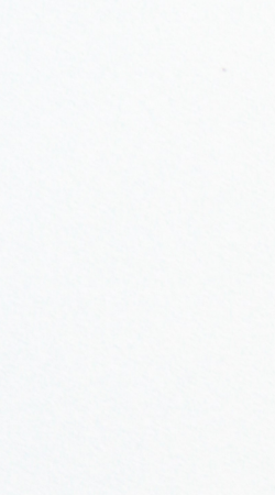 PP 2261 - BIANCO PURO
