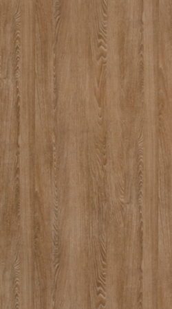 PP 1523 - SAVANNAH OAK HONEY