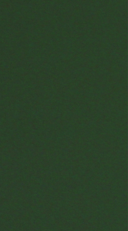 PP 317 - VERDE OFICIAL